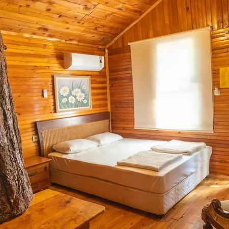 Kadir's Tree Auberge de jeunesse Kemer